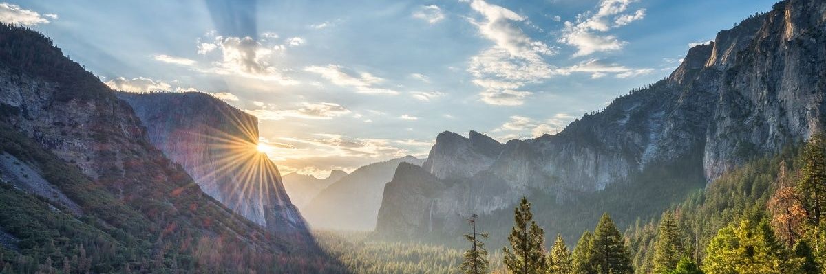 Gus banner