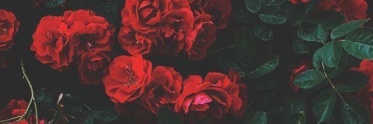 zknibrahim's profile banner image