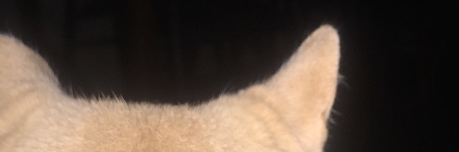 Leolico_'s profile banner image