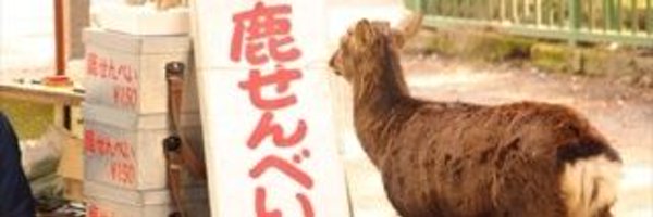 douraku_joutou Profile Banner