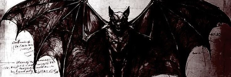 vampistake's profile banner image