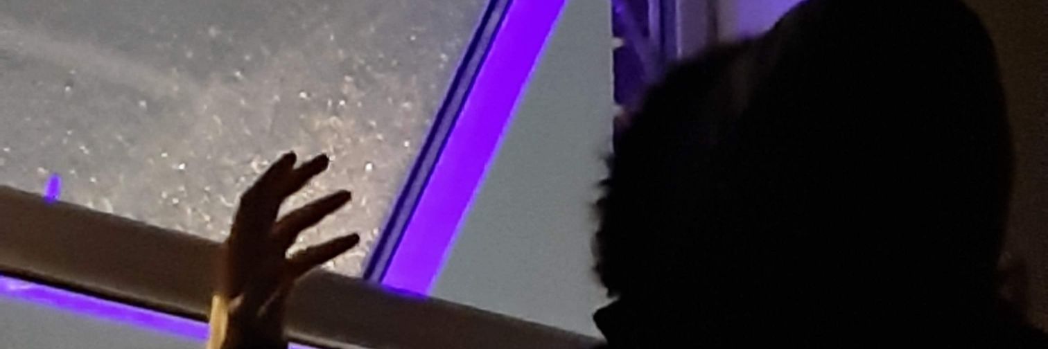 #1 Zywoo Fan's banner