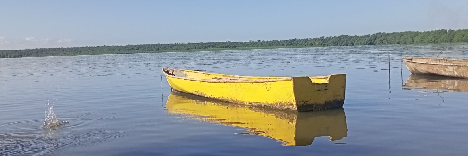EliazarRd's profile banner image