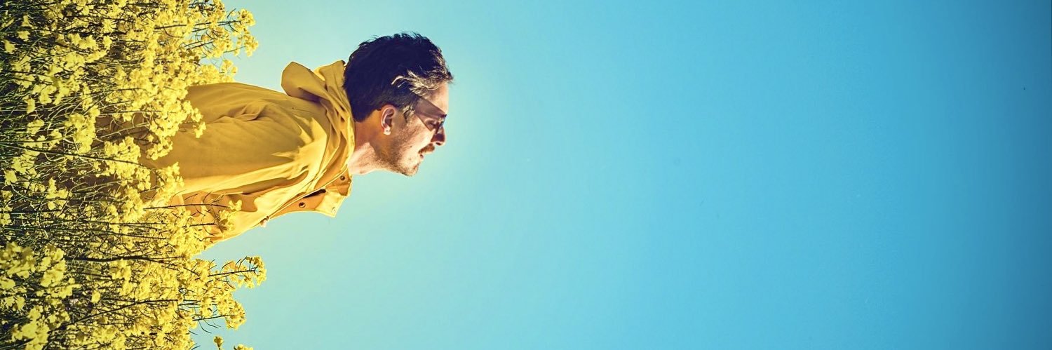 Robin de Blanche banner