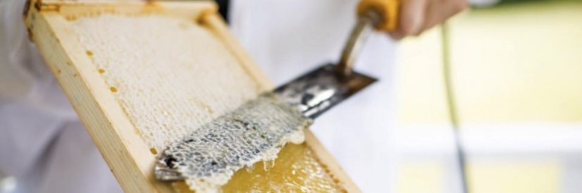 BannerBee Company banner
