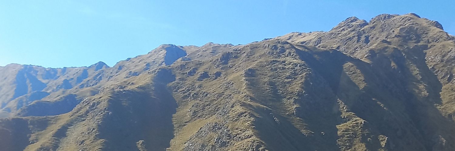 od_roxy's profile banner image