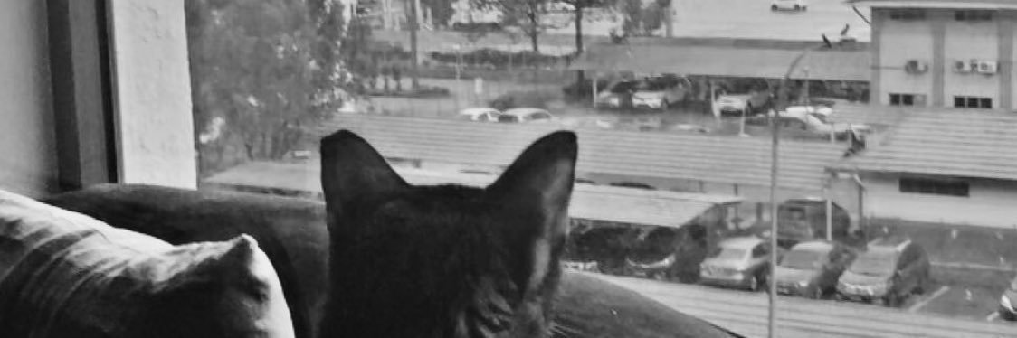 1011here's profile banner image