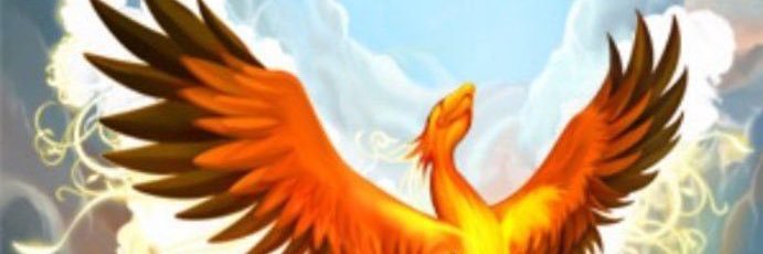 MadisonAlamia's profile banner image