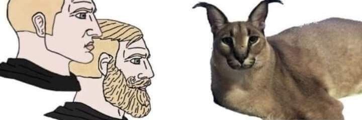 Abogado Wright banner