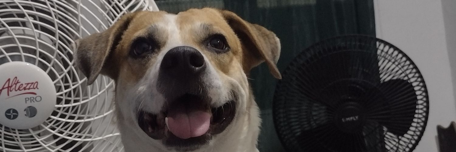 Wil banner
