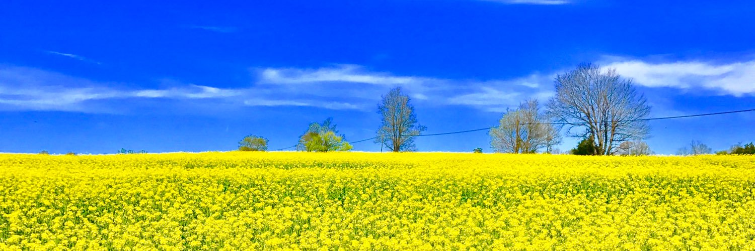 bsg919's profile banner image