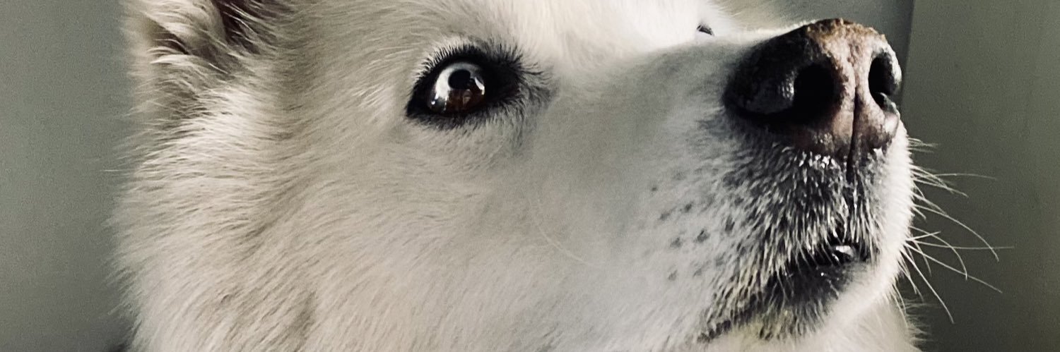 𝙰𝚗𝚍𝚛𝚎́𝚜 𝙷. banner