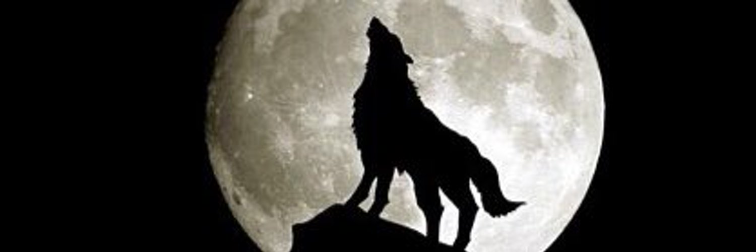 CornerStone88's profile banner image