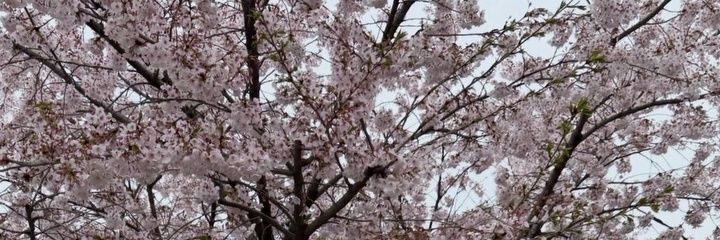 booksandpi_'s profile banner image