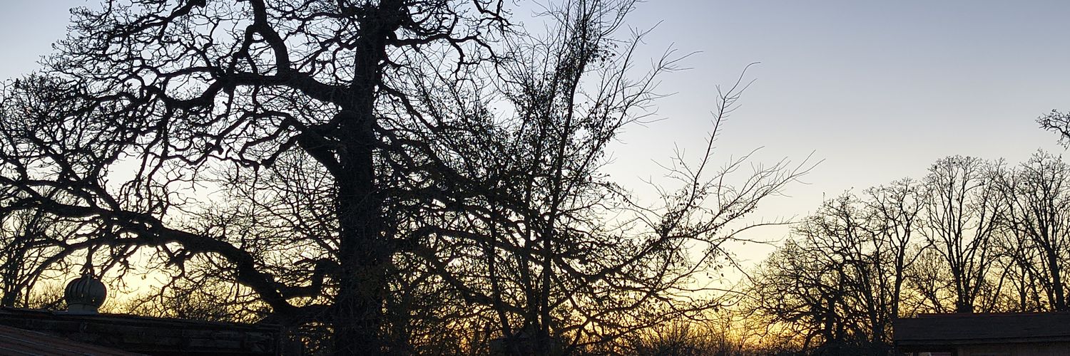 Red Dirt Revenant banner