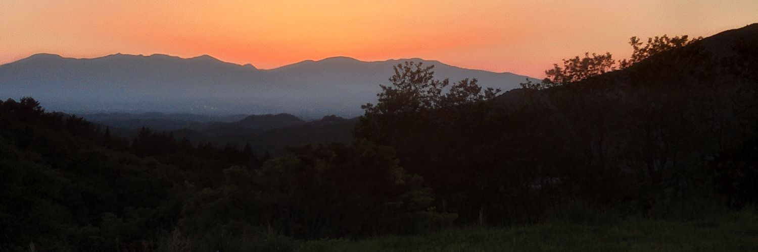mametonatts1981's profile banner image