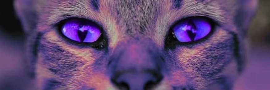 LuuliZorba's profile banner image