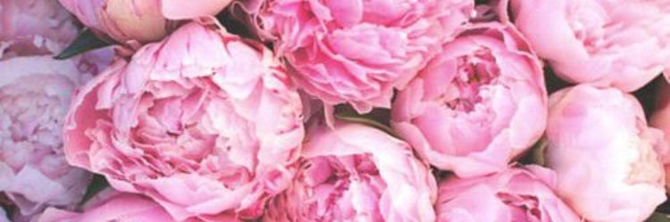 braebeth's profile banner image