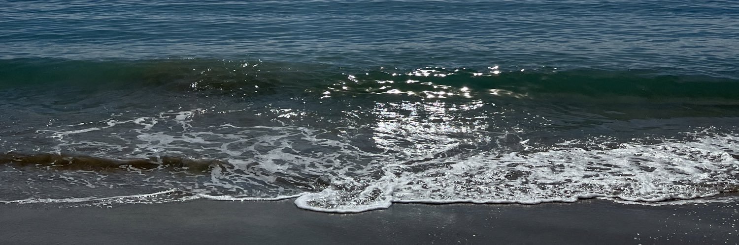 siilviamesa's profile banner image