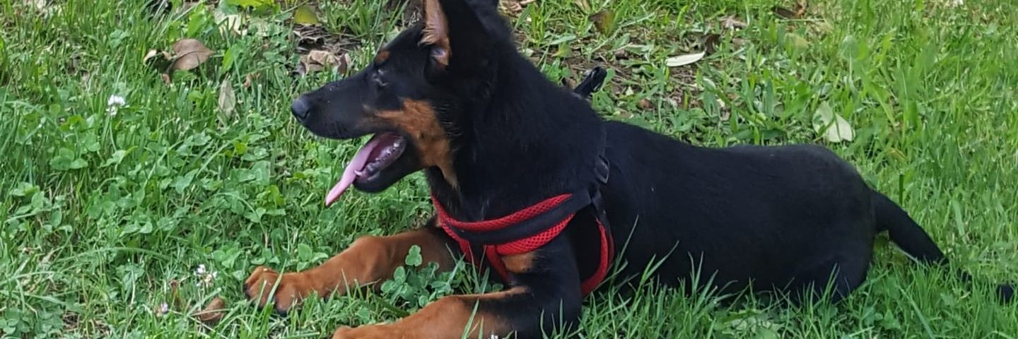 hakksensoy's profile banner image