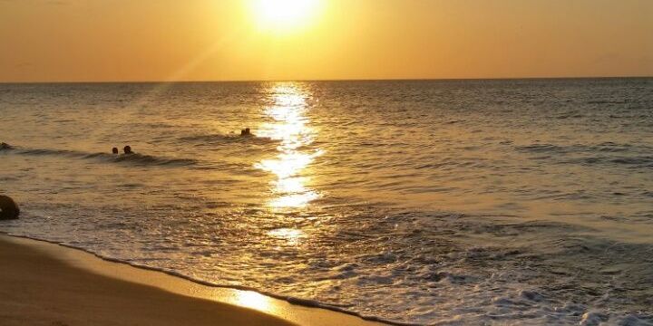 Luz_Geraldine's profile banner image