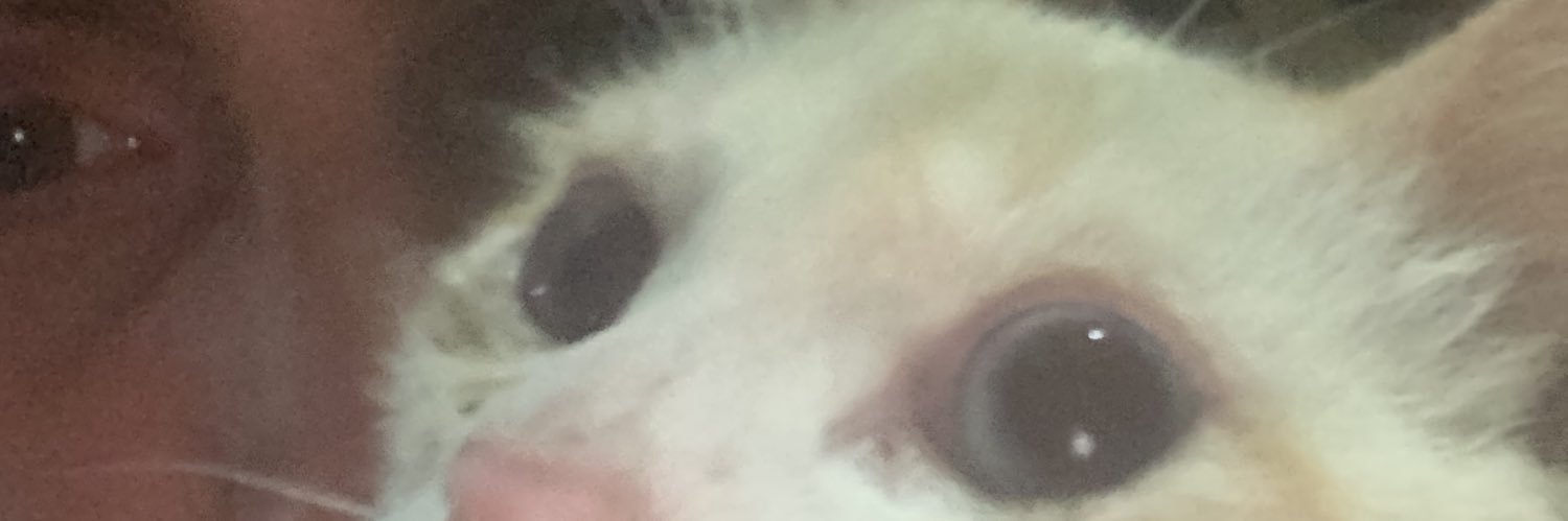 luizito032's profile banner image