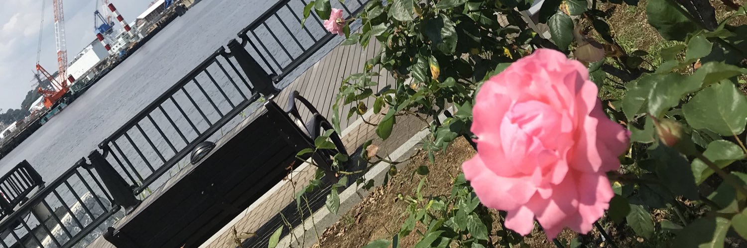 かぼちゃ banner