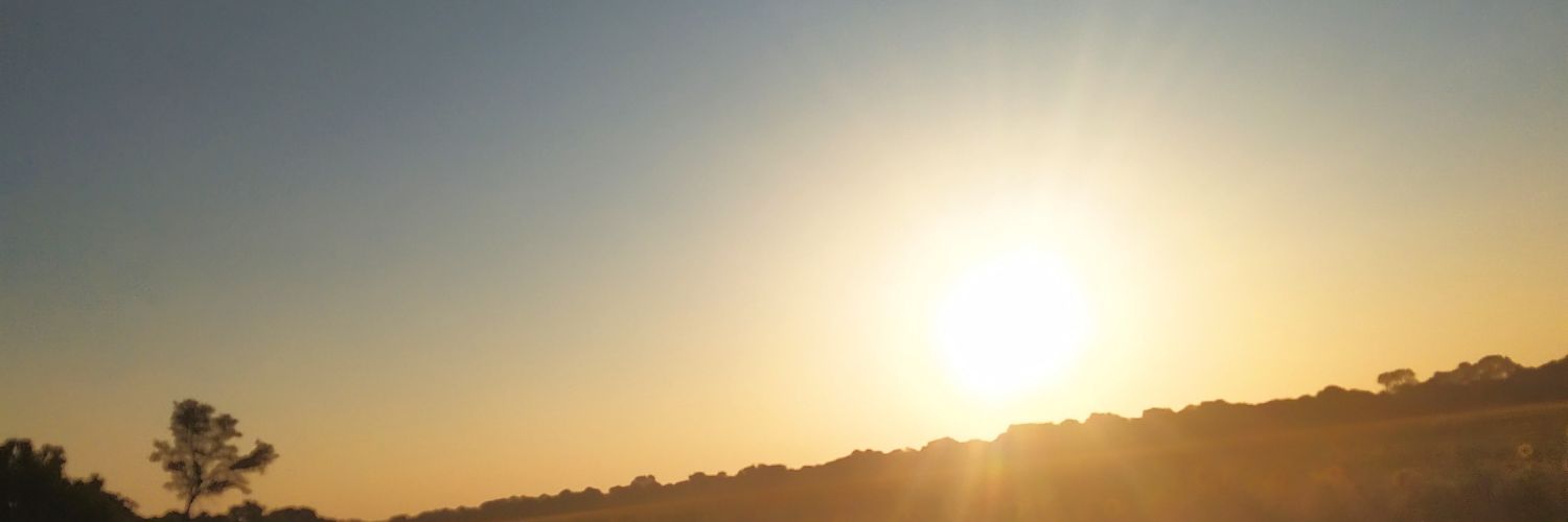 bernardis_a's profile banner image