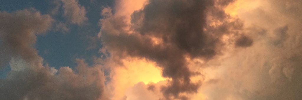 rhonda powers banner