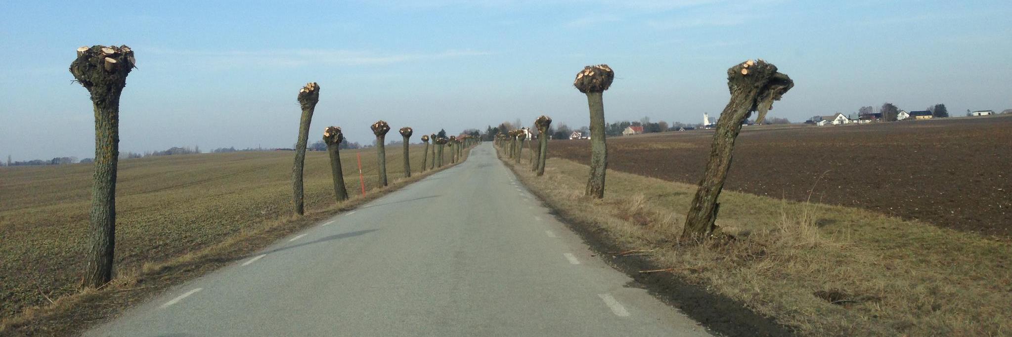 Käthe Nilsson banner