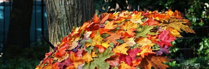RastaMystic's profile banner image