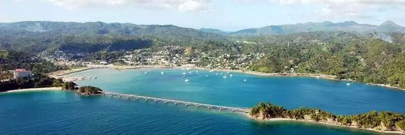 DOMINGO FALCON banner