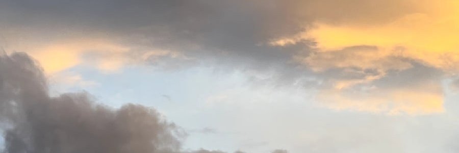 T___Art's profile banner image