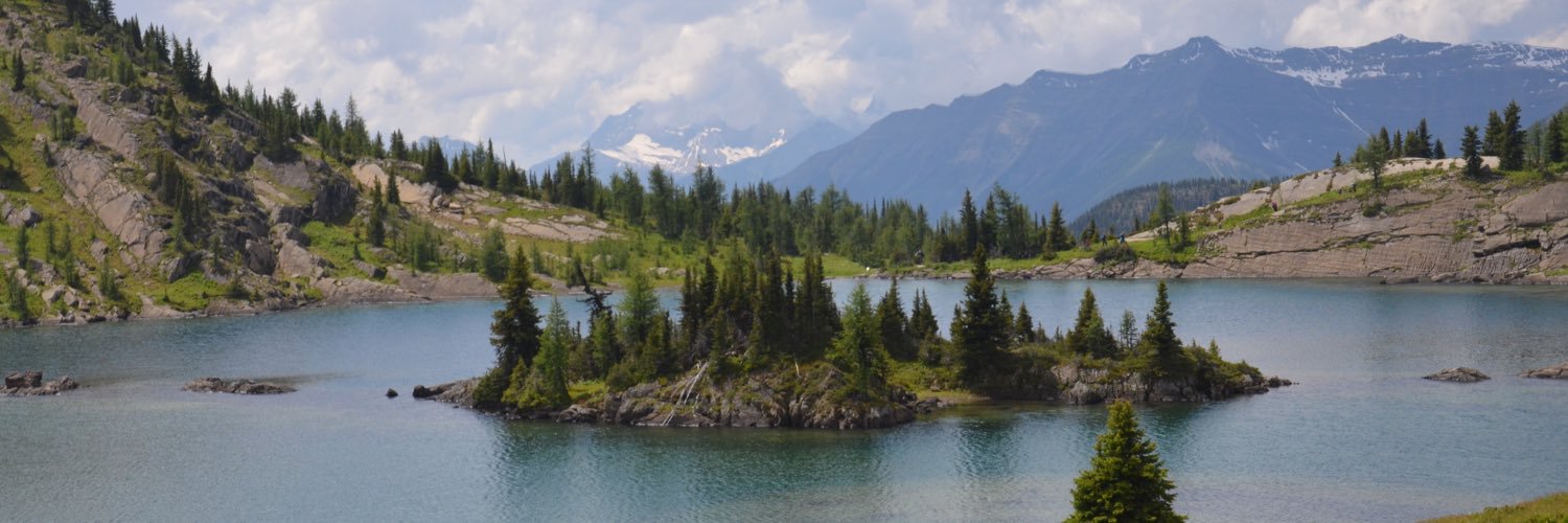 JudyDuncan1's profile banner image