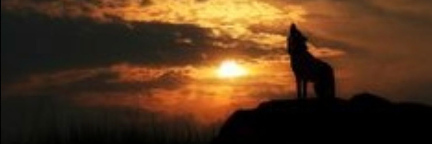 Bed005B's profile banner image