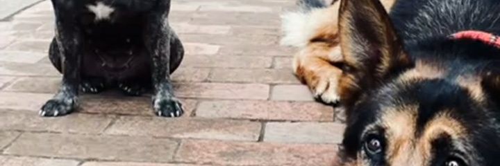 _2Moon9's profile banner image