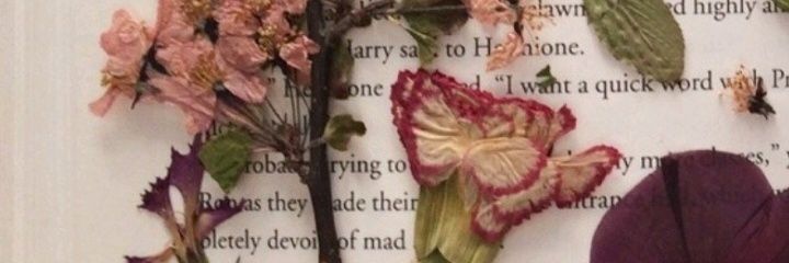 letras_falsas's profile banner image