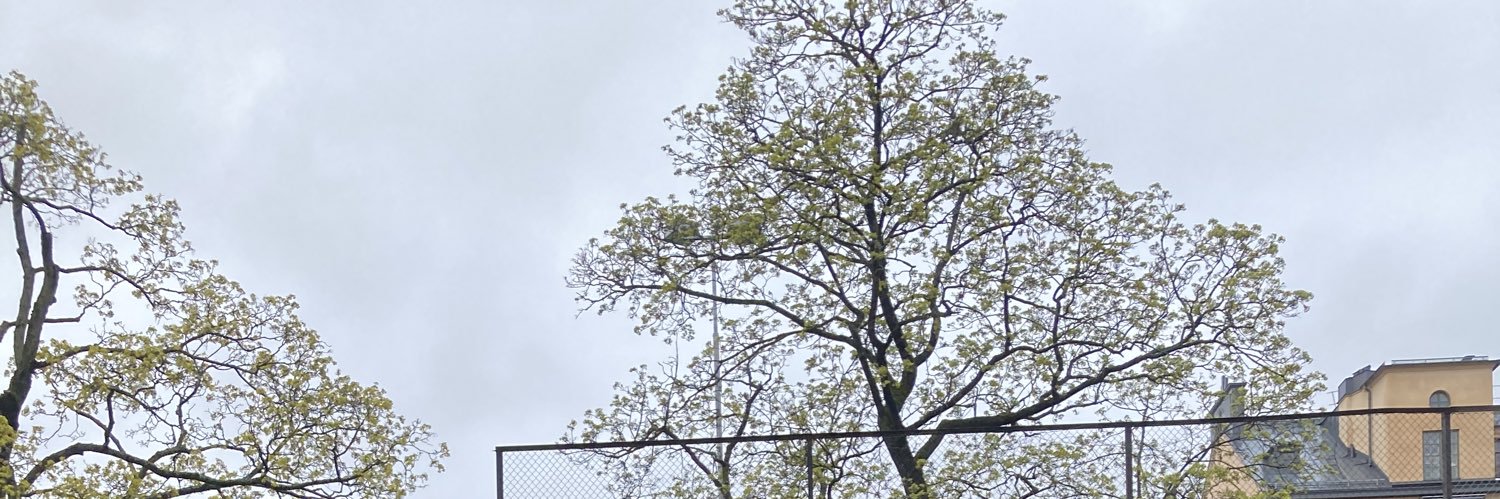 alinamuller's profile banner image