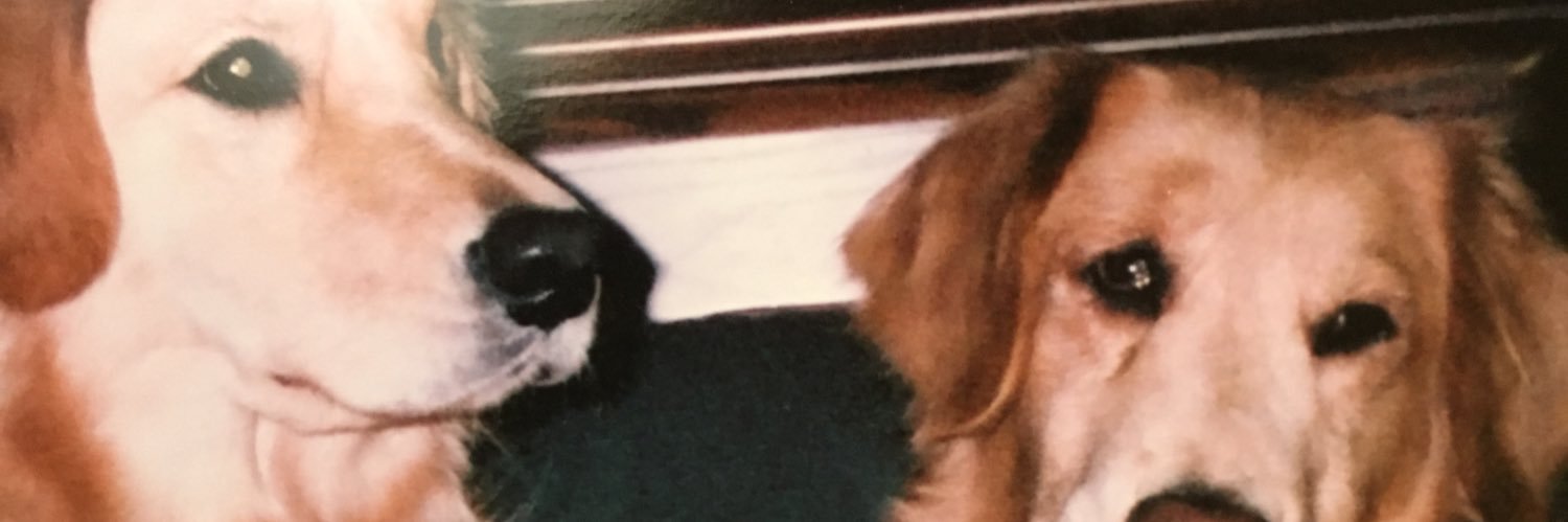 botearujigmail1's profile banner image