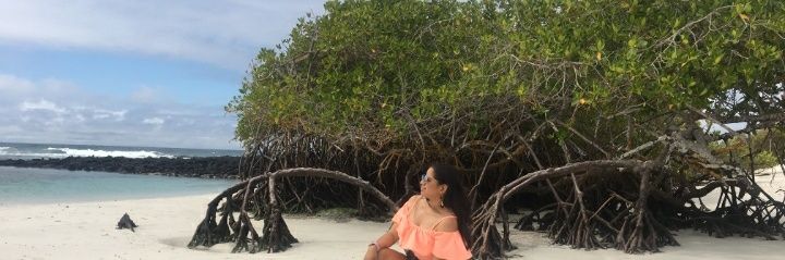 PamelaaDelgadoV's profile banner image