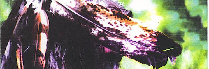 kopgwej's profile banner image