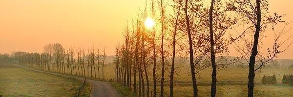dosamadinah's profile banner image