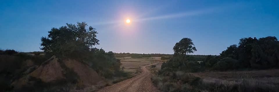 Kilometro Cero banner