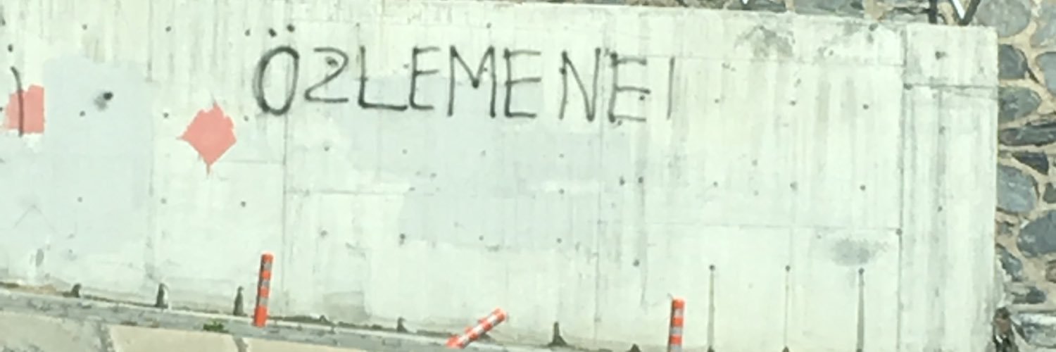 zlemkarabay's profile banner image