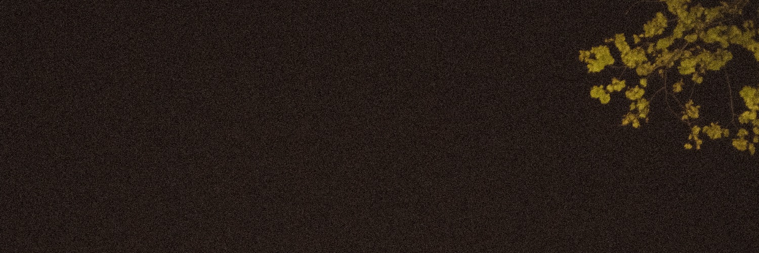_RayHalo's profile banner image