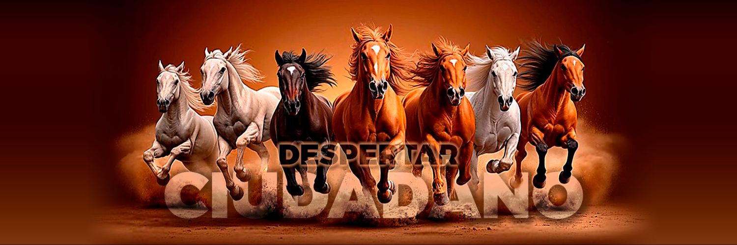 FerCaceresC's profile banner image