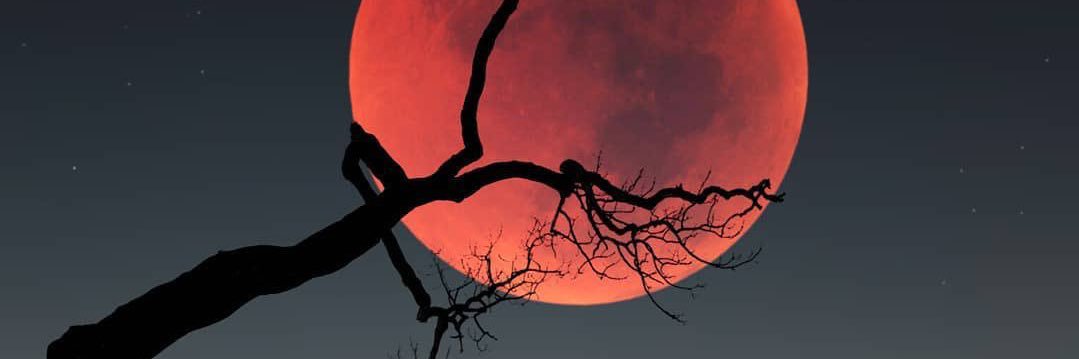 enzoooo18711's profile banner image