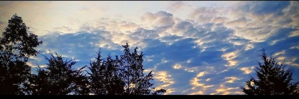 alexanjk1123 Profile Banner