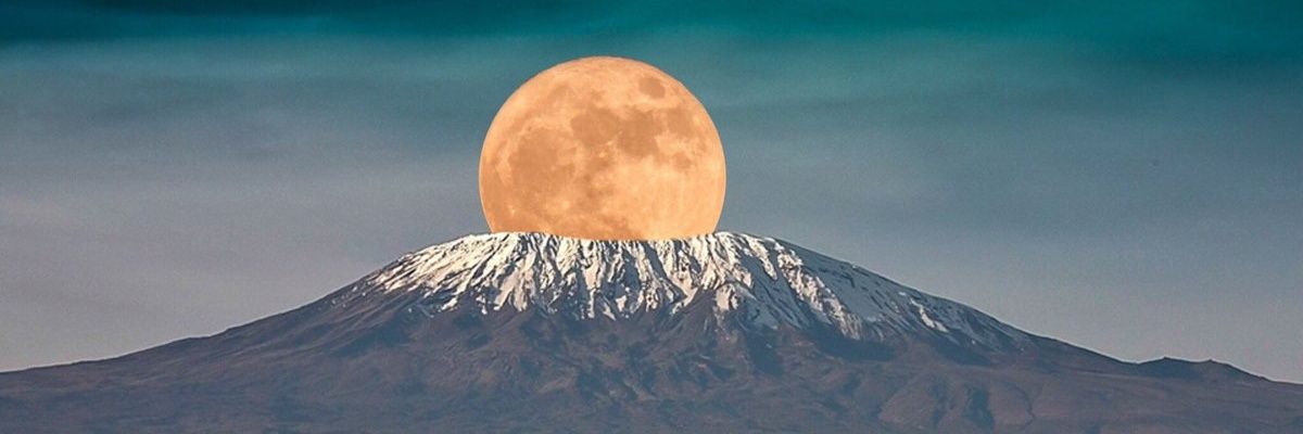 jaidelmor's profile banner image