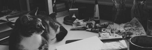 LuisFernandezdr's profile banner image